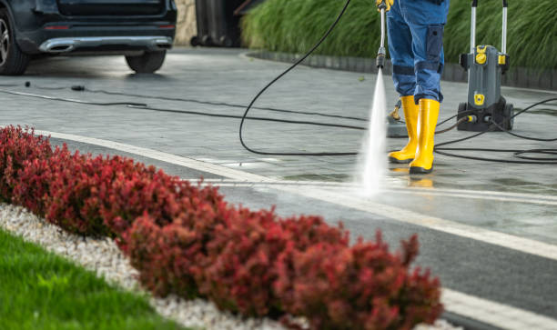 Best Driveway Pressure Washing  in Norwalk, CA